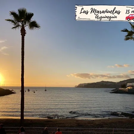 Albaricoques 12 By Villagrancanaria